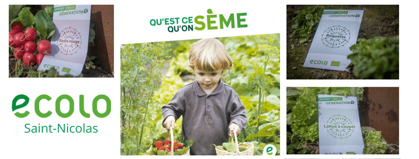 On a reçu des graines… Mais on les sème comment ?